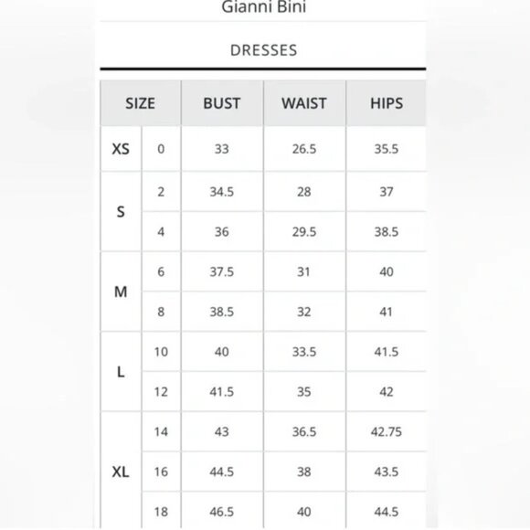 NWT Gianni Bini Rose Pink Ruffle Flowy Sweetheart Neck Chiffon Mini Dress Sz 4 - Picture 7 of 7